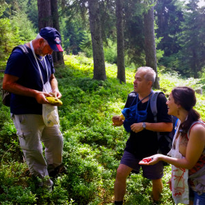 Surviving Europe: 10 Lessons Learned Mushroom Hunting in Austria 2