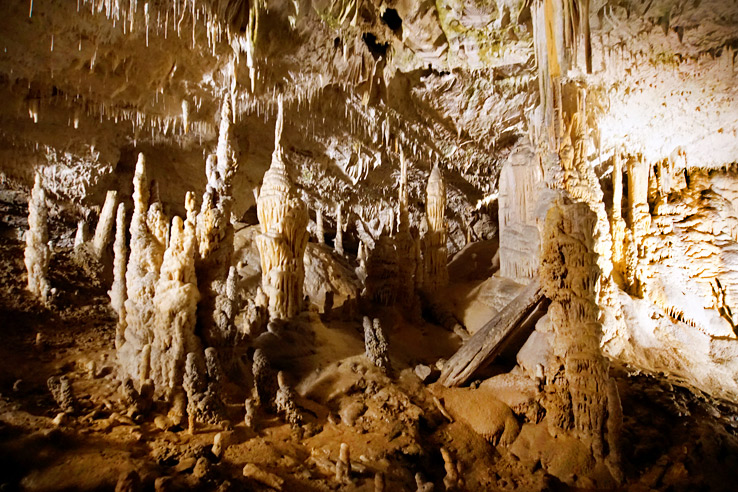 Surviving Europe: Adventures in Slovenia: Postojna Cave and Predjama Castle - Inside Postojna Cave