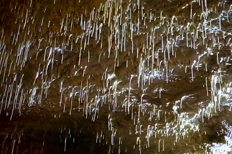 Surviving Europe: Adventures in Slovenia: Postojna Cave and Predjama Castle - Postojna Spaghetti Ceiling